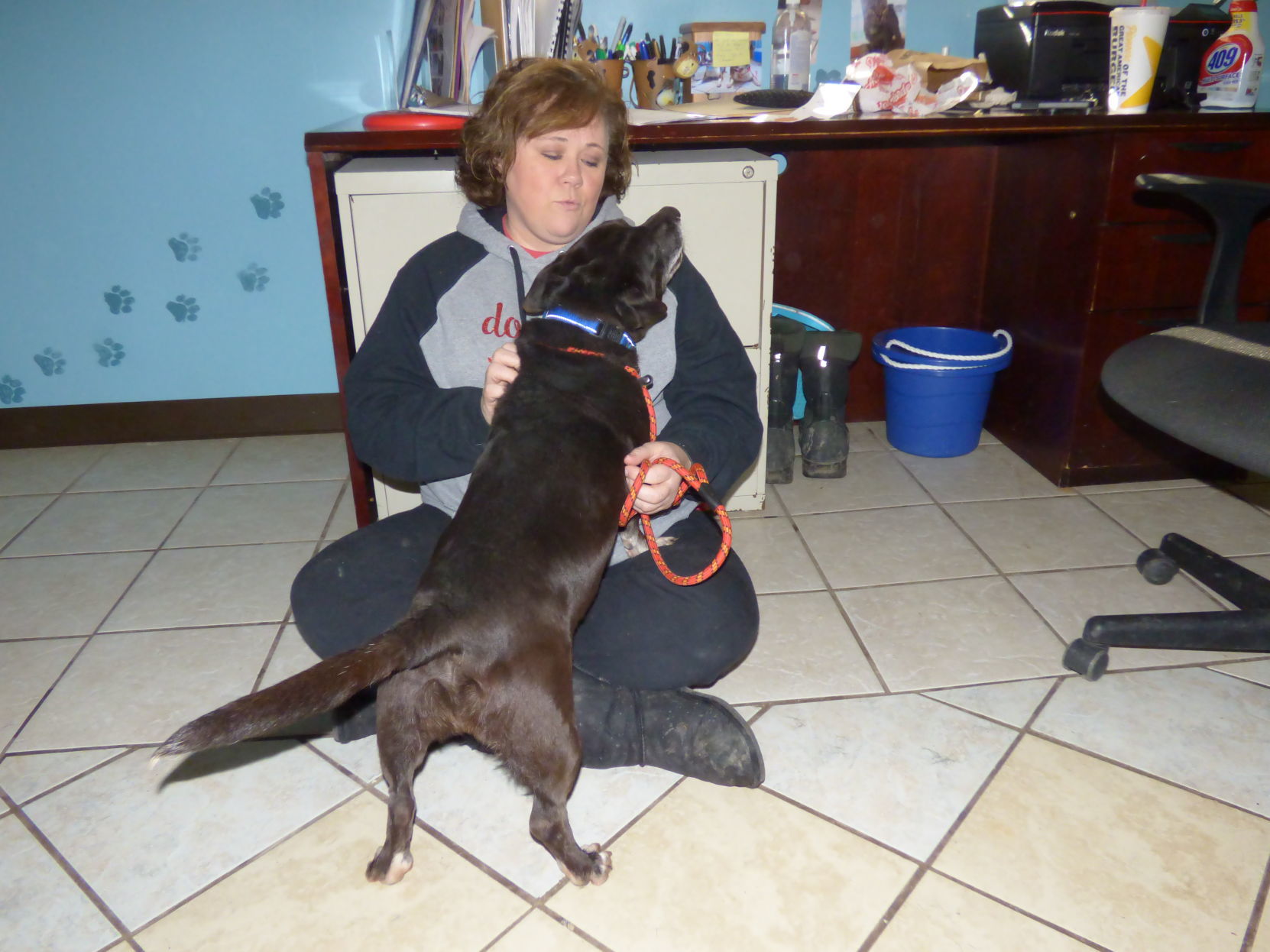 020619-nws-shelter-dogs-02.JPG